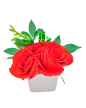 Extra Rosas en Maceta