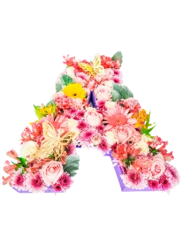 Letra de Flores para Ellas