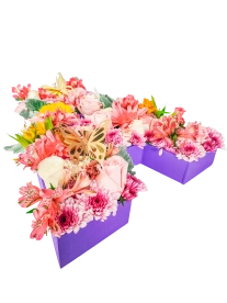 Letra de Flores para Ellas