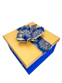 Regalo Blue and Gold