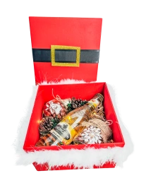 Santa is Coming