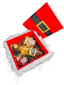 Santa is Coming