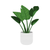 Plantas